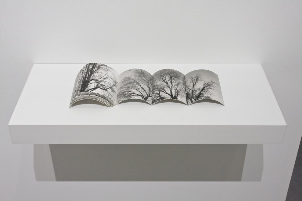 'distance 1985/2014' 5.5" x 13" x 2"